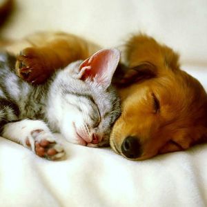 Meet your Posher, Marcia